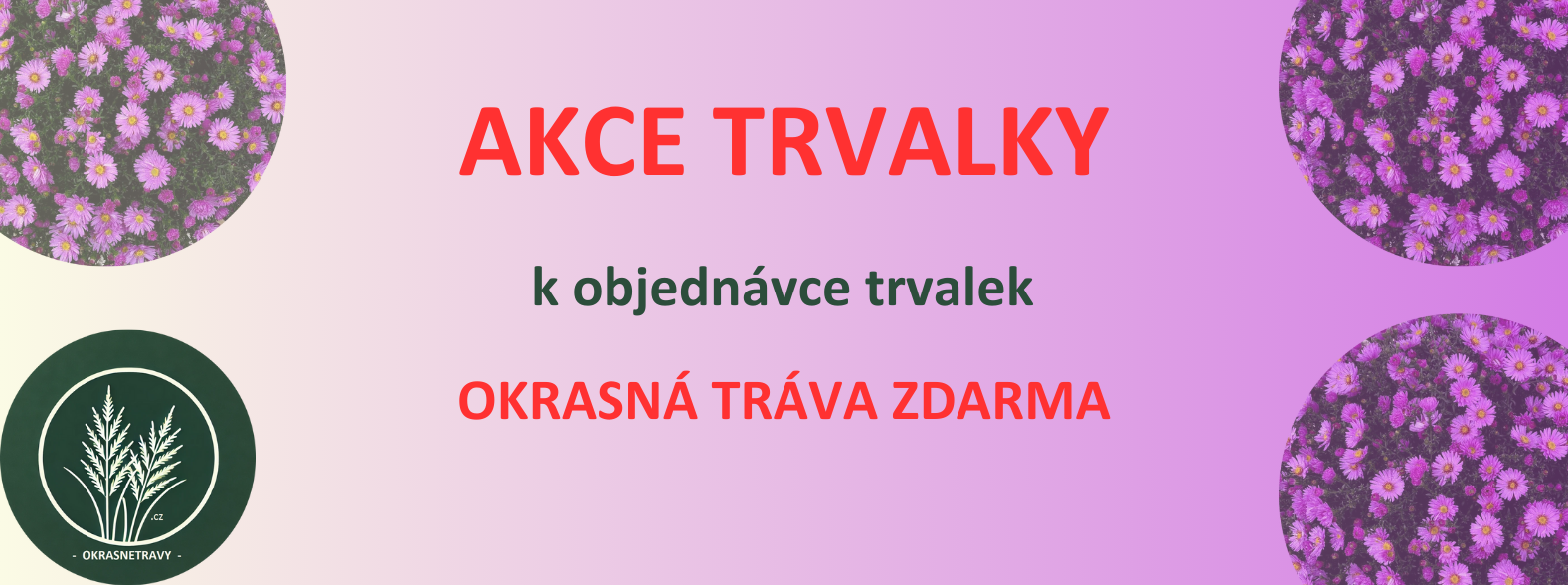 gradient kategorie trvalky